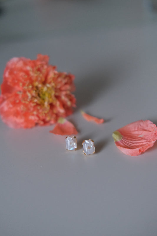 寶石花粒 (白)