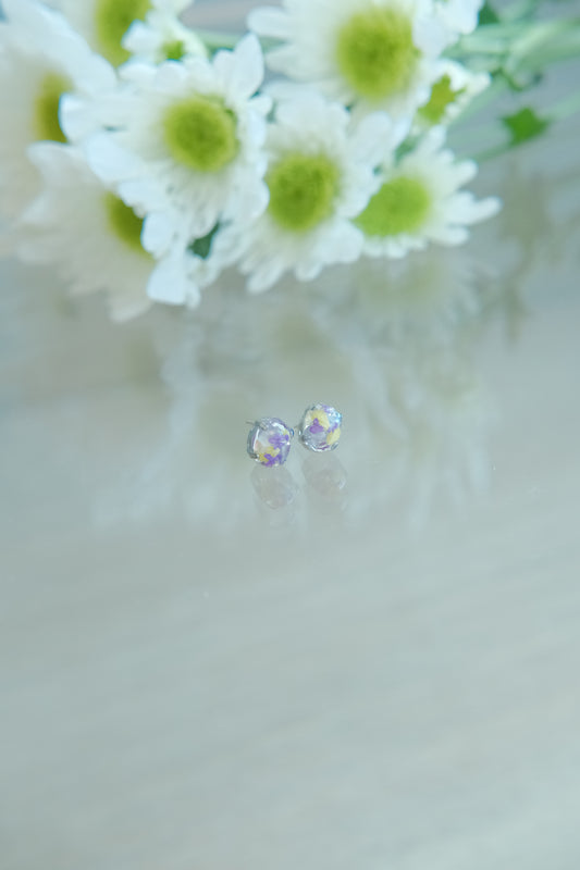寶石花粒(粉白)