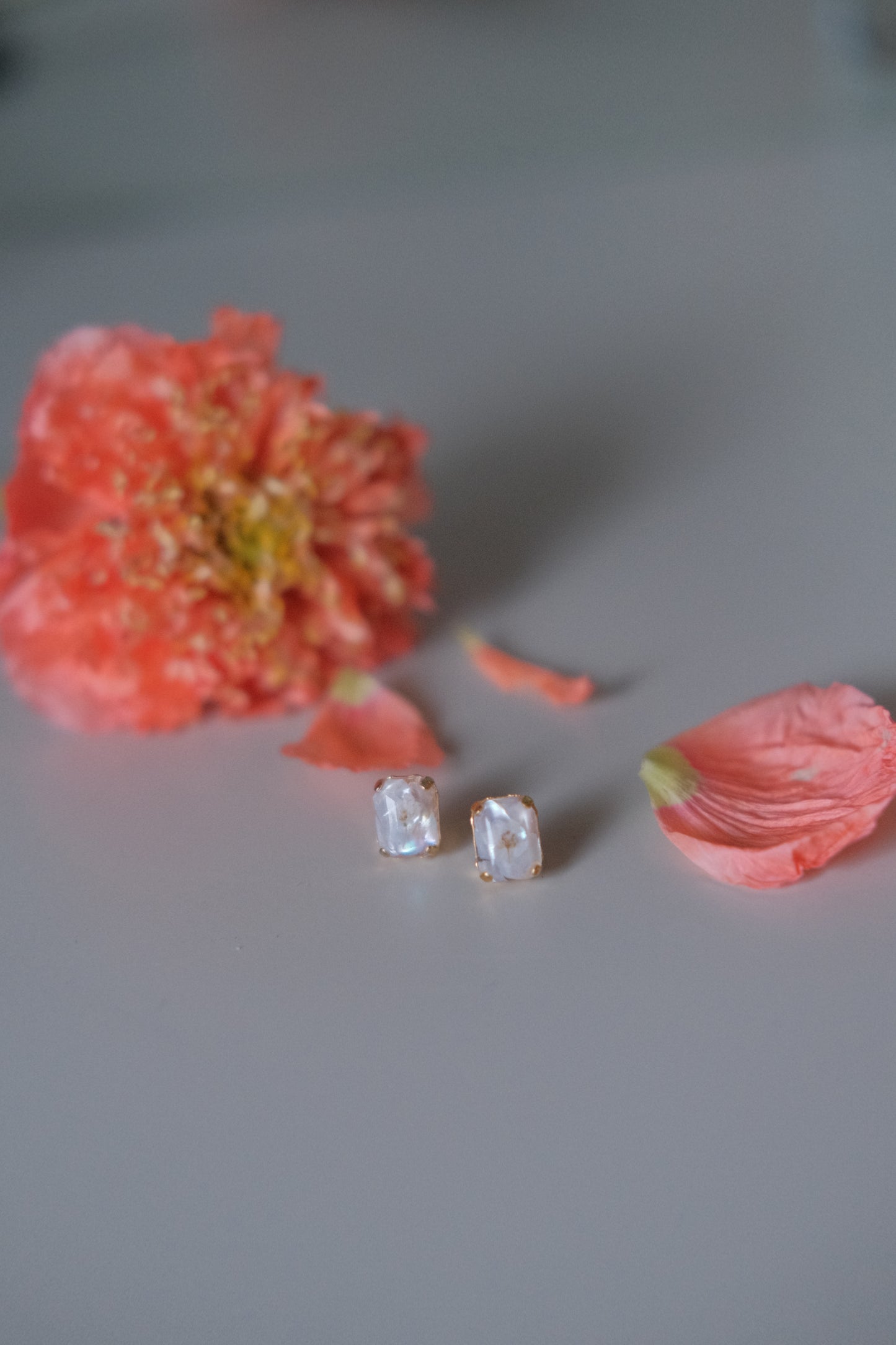 寶石花粒 （白）