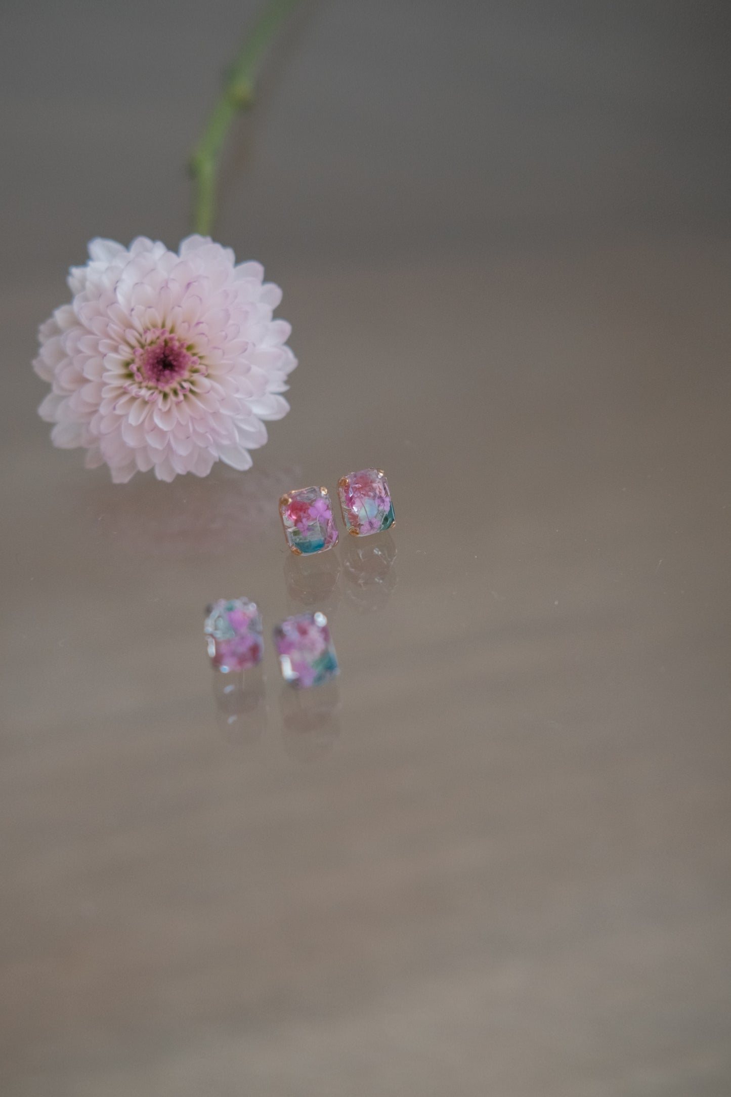 寶石花粒（粉藍）